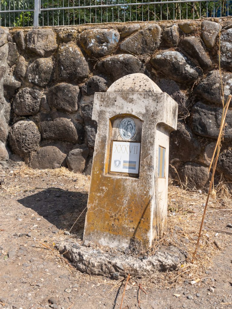 תרצה ניב | מורת דרך