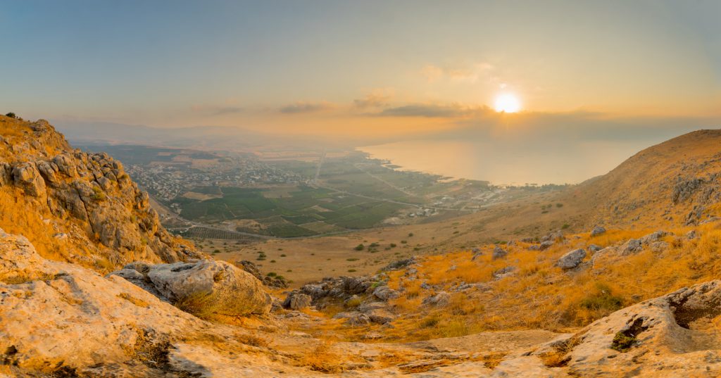 תרצה ניב | מורת דרך