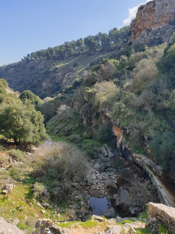 תרצה ניב | מורת דרך